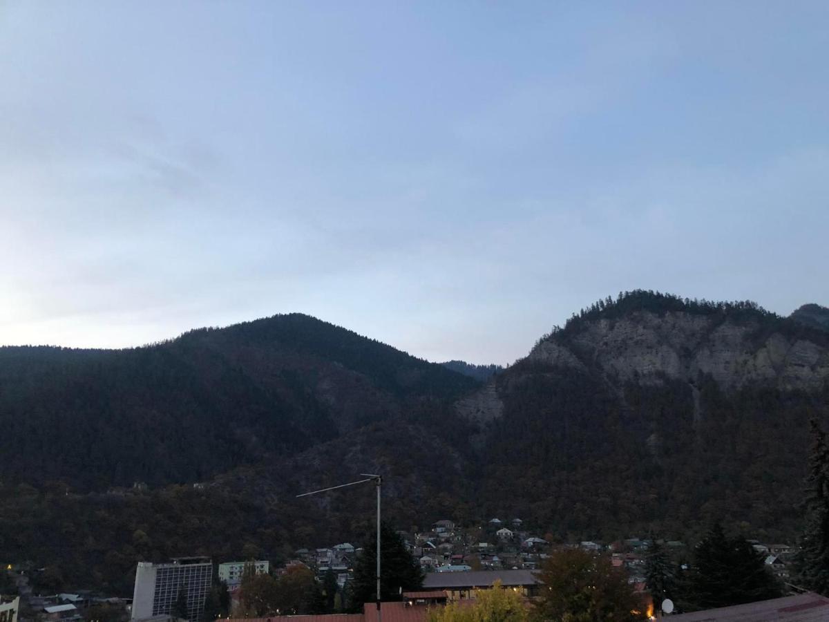 Lukassalomea Apartment Borjomi Luaran gambar