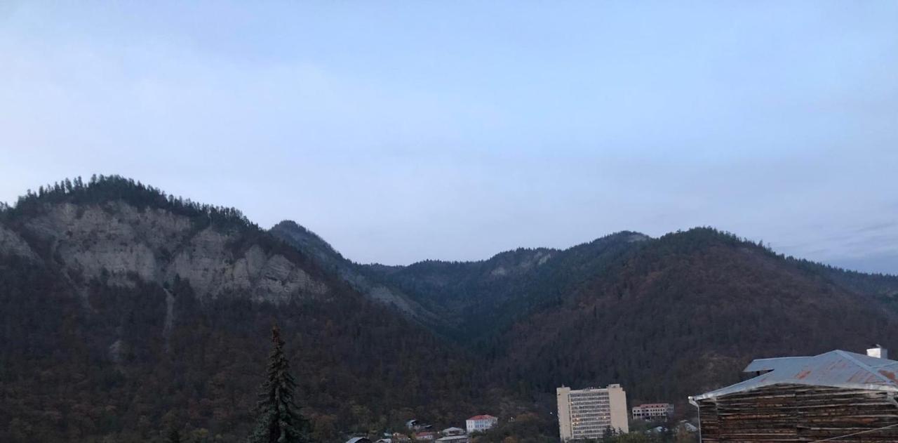 Lukassalomea Apartment Borjomi Luaran gambar